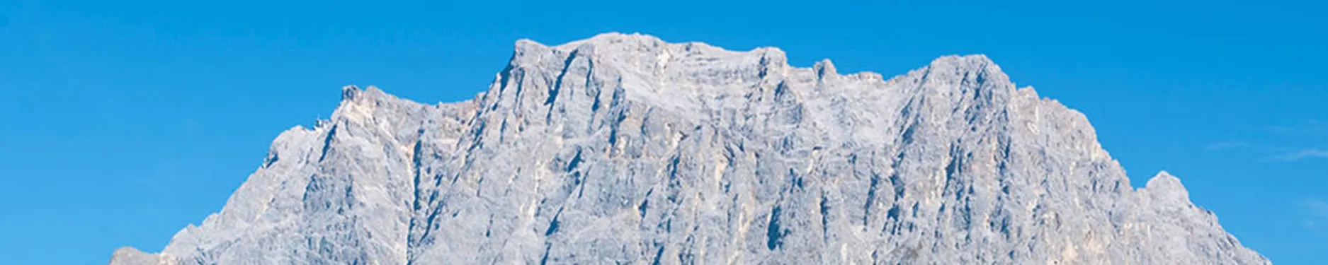 Maximilian Nico Hintergrundbild