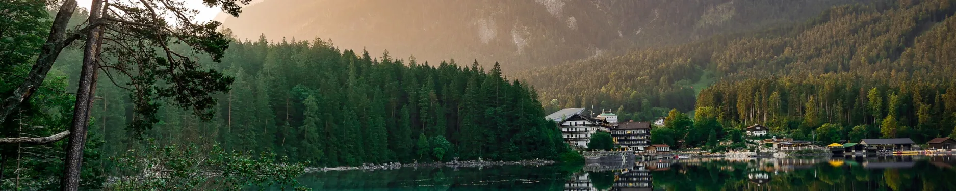 Elisa Hintergrundbild