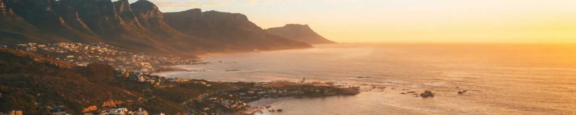 Niko Hintergrundbild