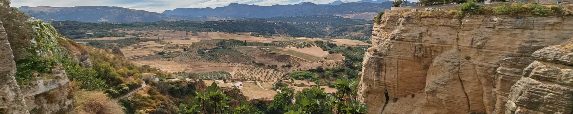 Veronique Hintergrundbild