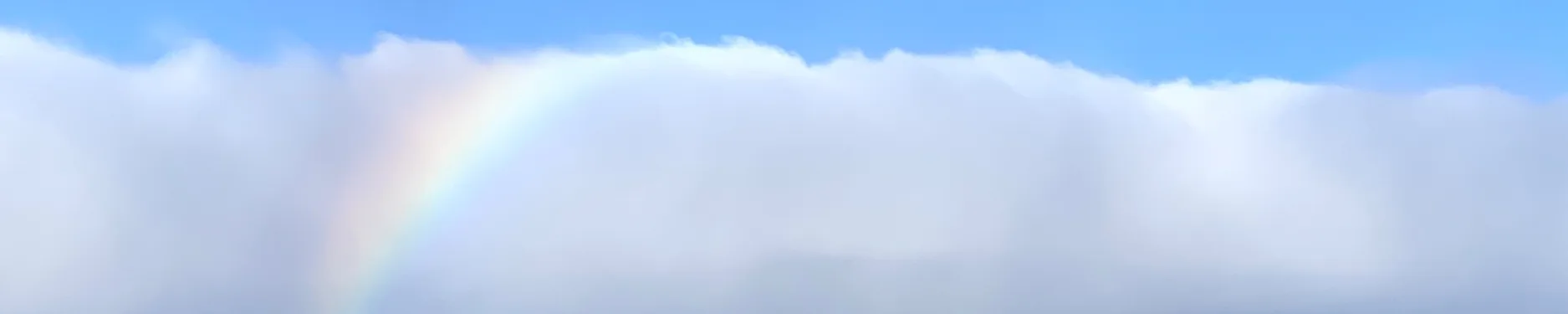 Timm Hintergrundbild