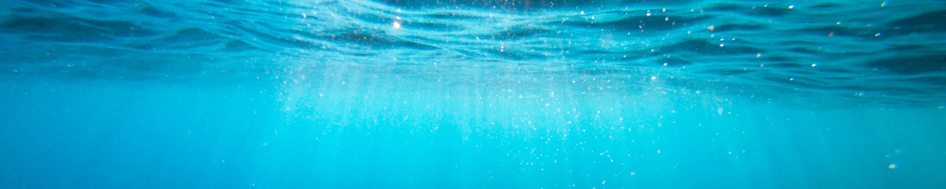 Nikolai Hintergrundbild