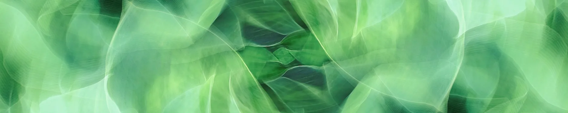 Regina Hintergrundbild