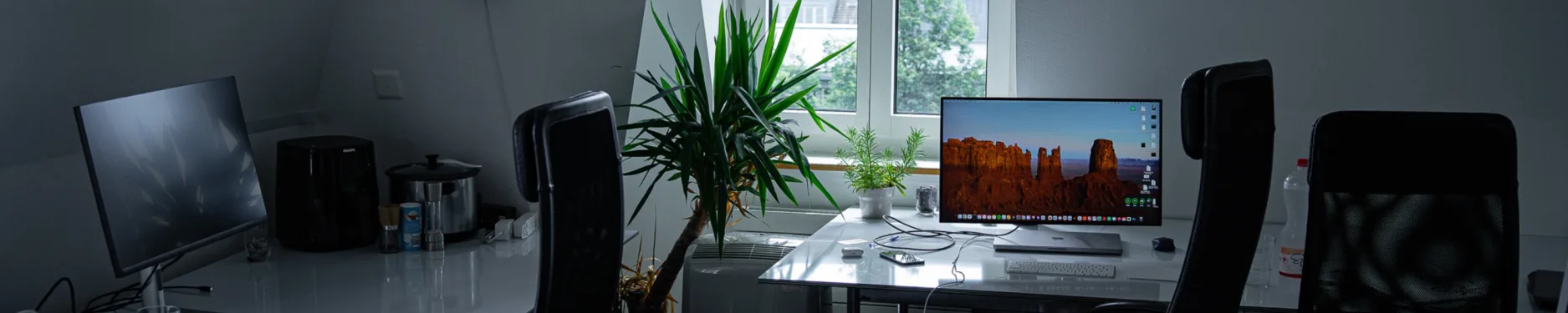 Anton Hintergrundbild