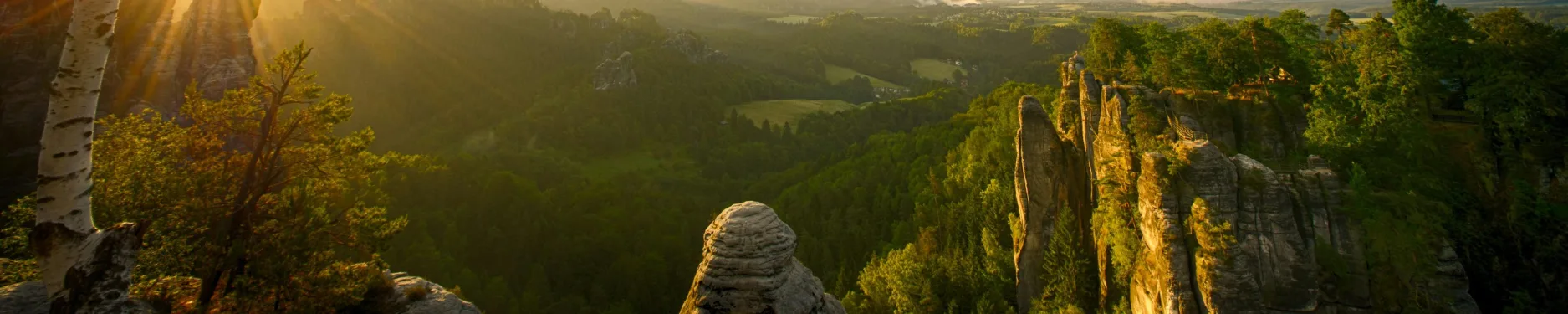 Daniel Hintergrundbild