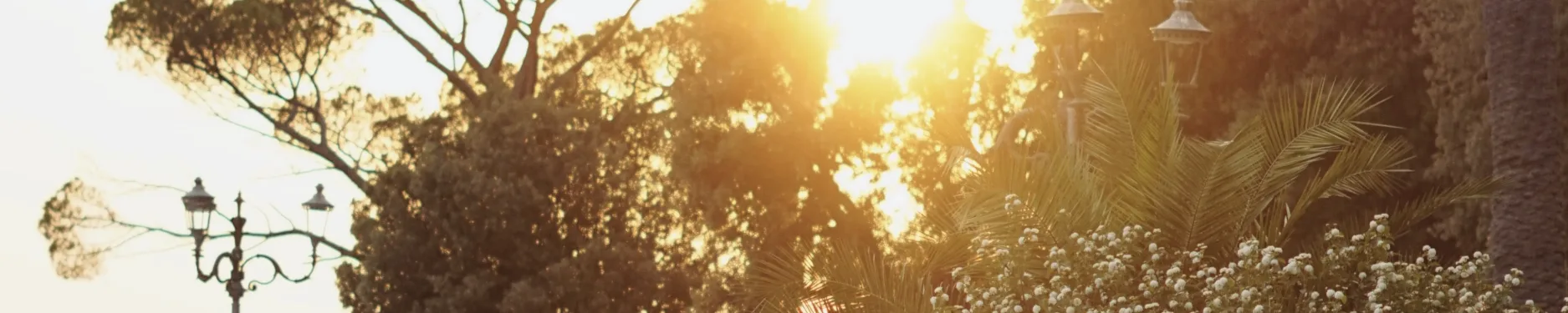 Viktoriia Hintergrundbild