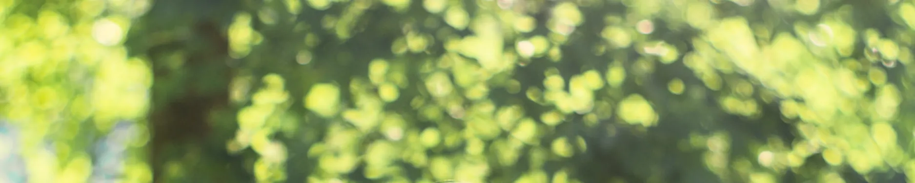 Brigitte Hintergrundbild