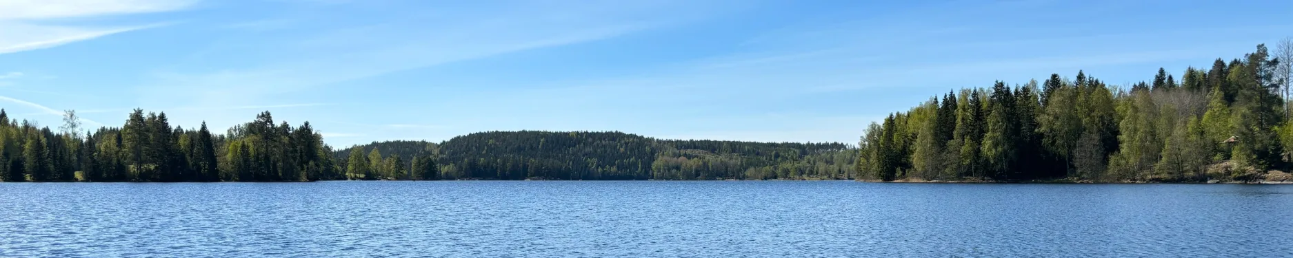 Andrea Hintergrundbild