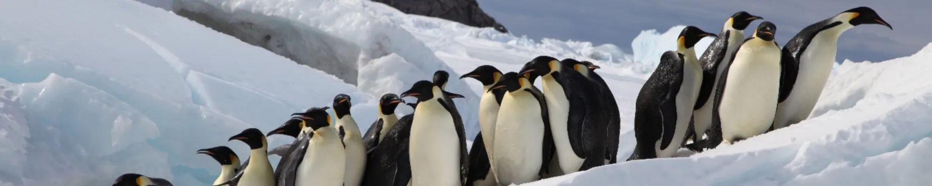 Johannes Hintergrundbild