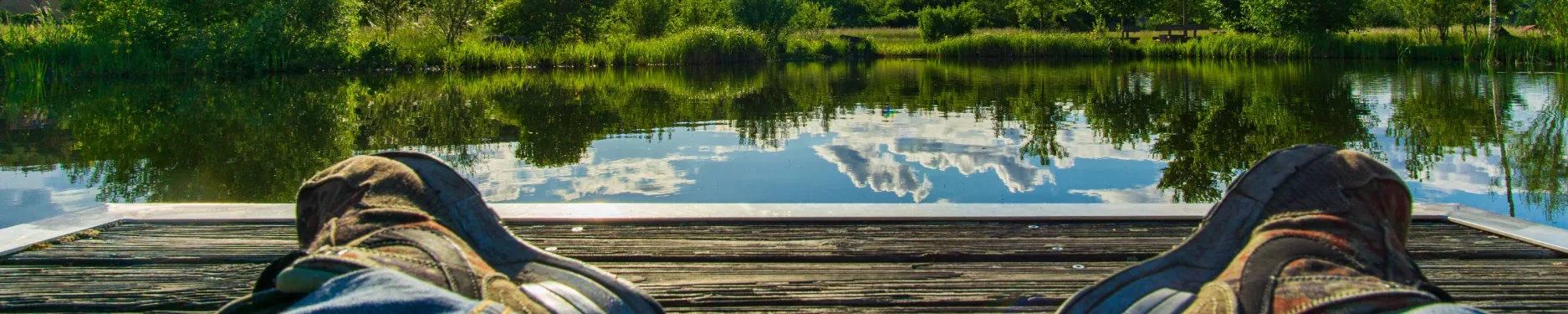 Alexander Hintergrundbild