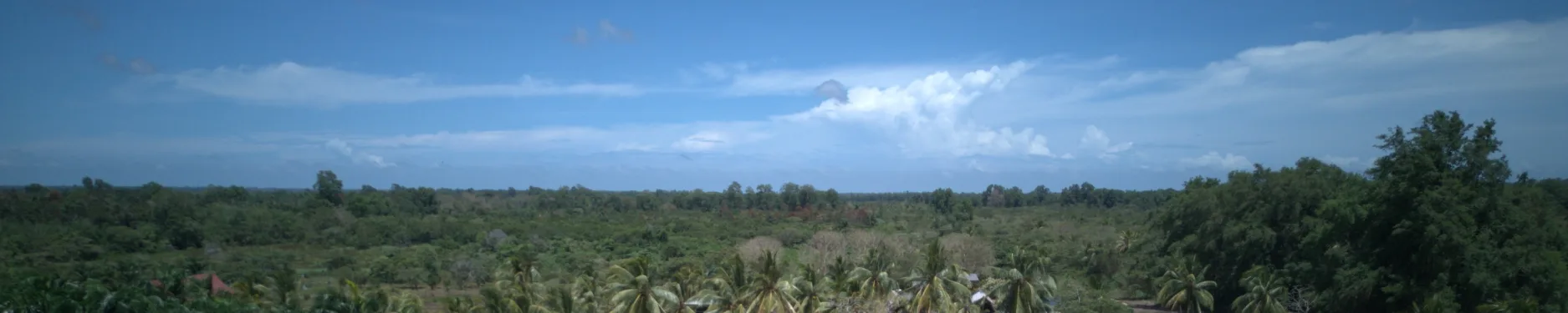 Robert Hintergrundbild