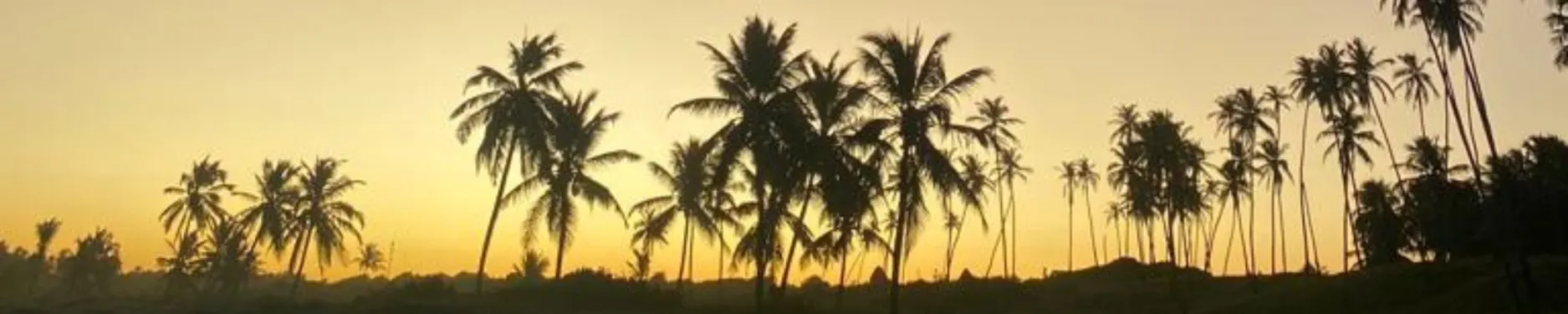 Kian Hintergrundbild