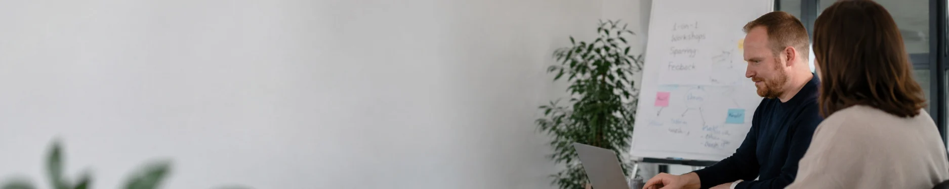 Sebastian Hintergrundbild