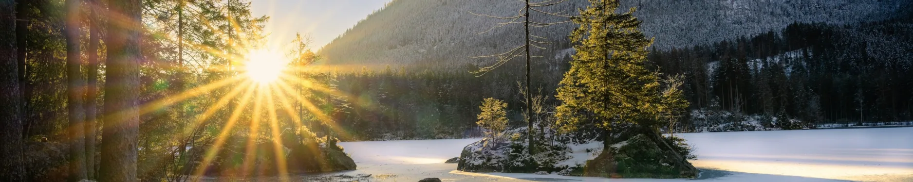 Felix Hintergrundbild