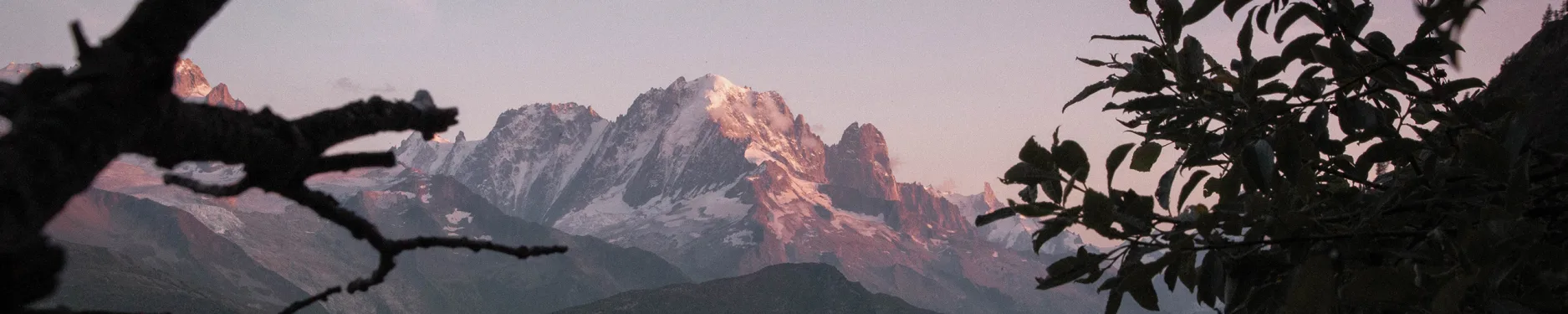 Linus Hintergrundbild