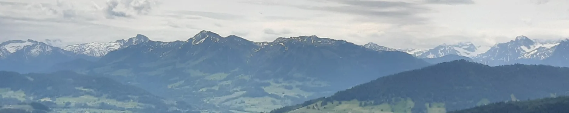 Sonja Hintergrundbild