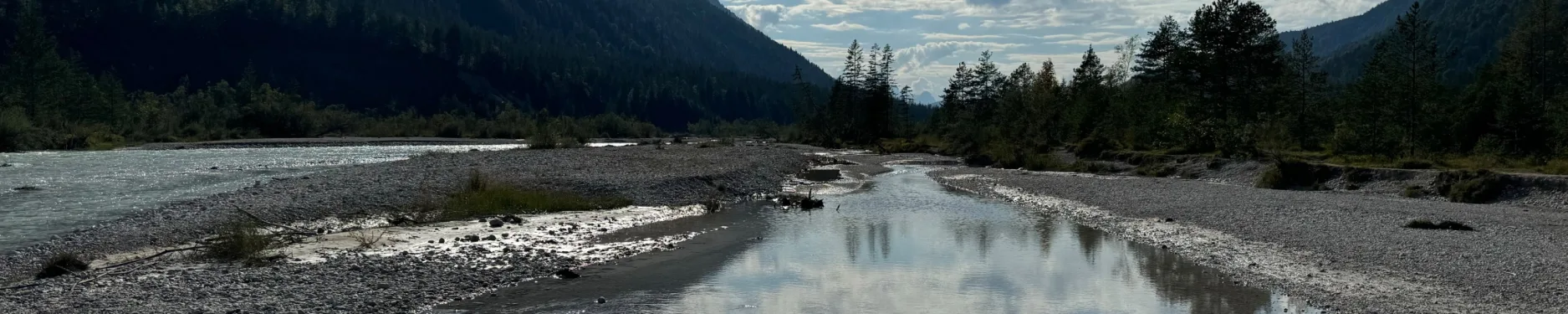 Alexander Hintergrundbild