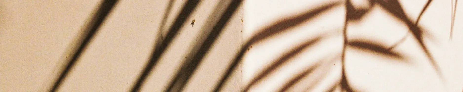 Sonja Hintergrundbild