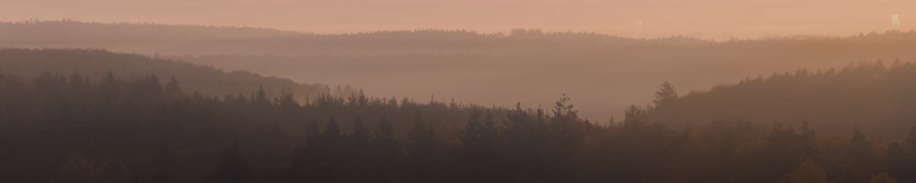Nadine Hintergrundbild