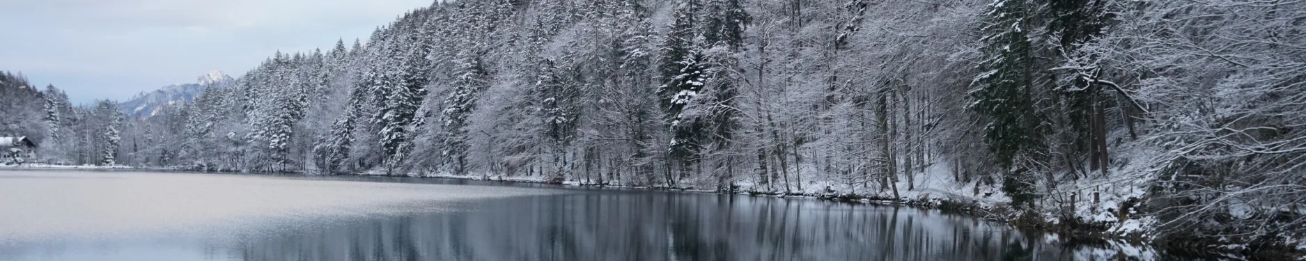 Theresa Hintergrundbild