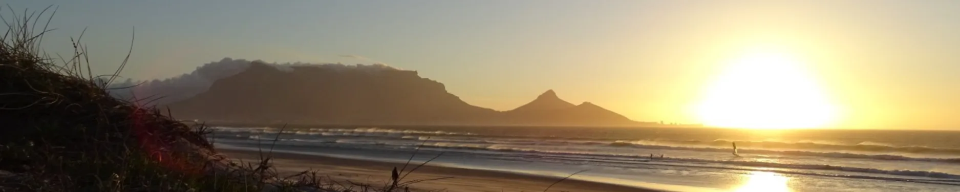 Timm Hintergrundbild