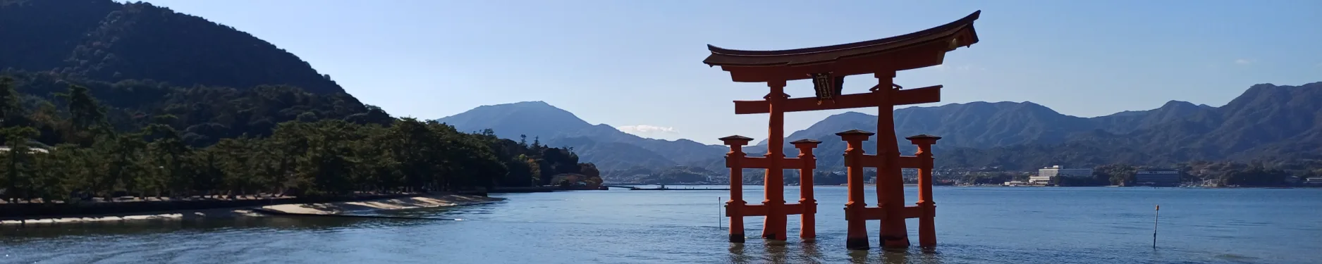 Harald Hintergrundbild