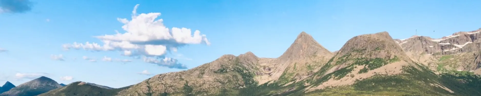 Matthias Hintergrundbild