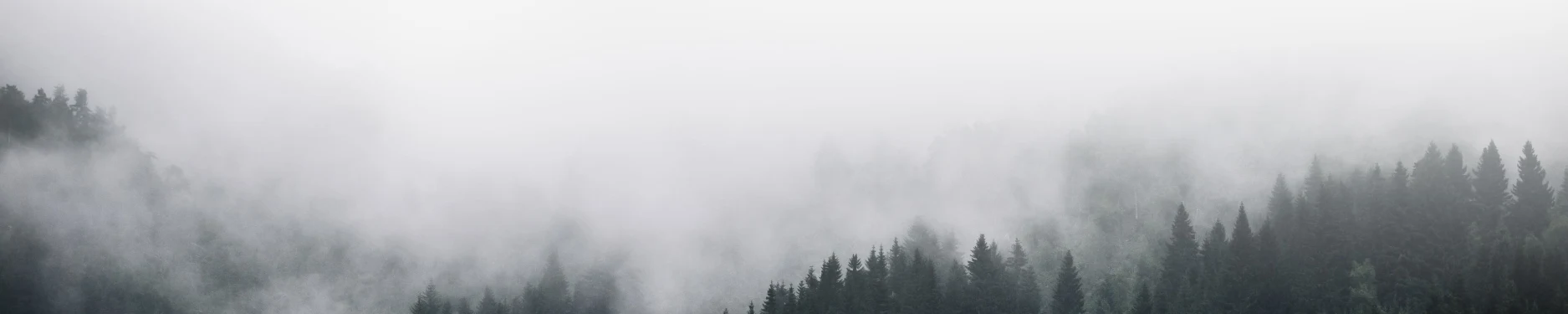 Thomas Hintergrundbild