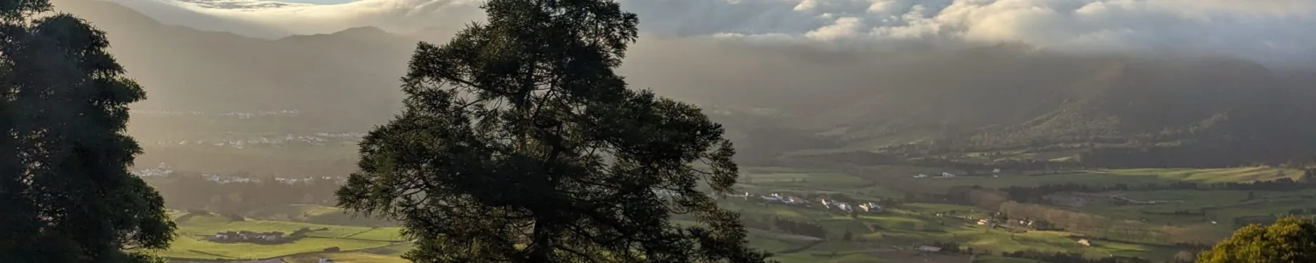 Tobias Hintergrundbild