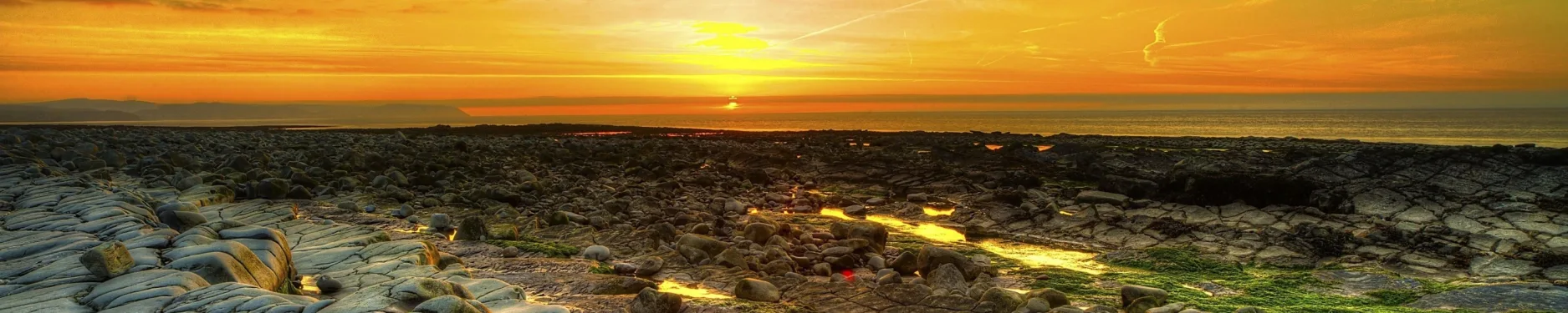 Maximilian Hintergrundbild