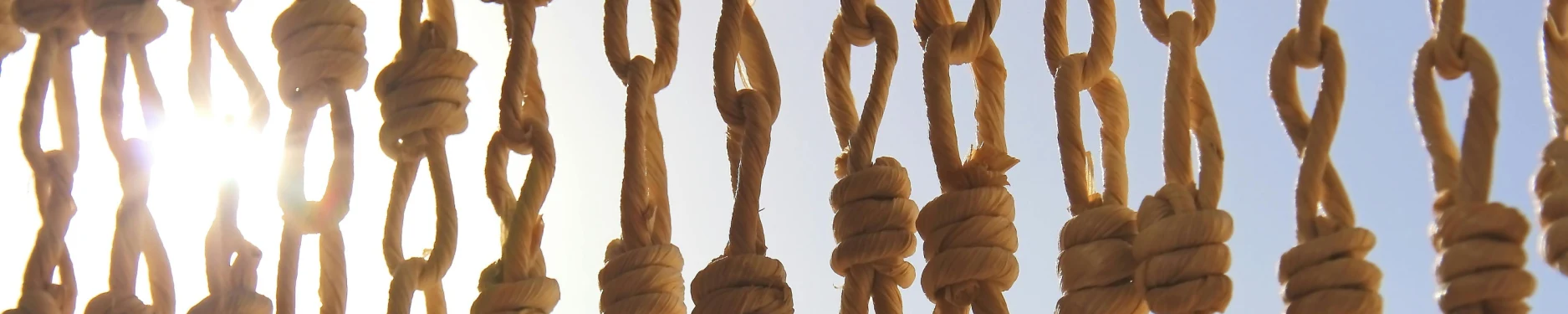 Tina Hintergrundbild