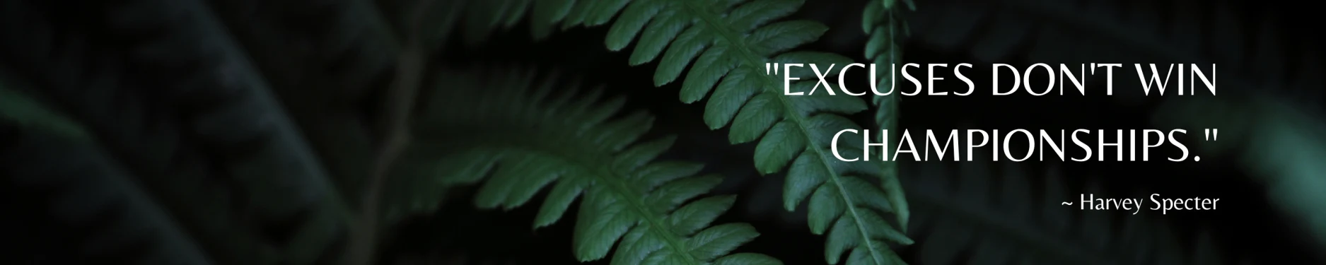 Jill Hintergrundbild