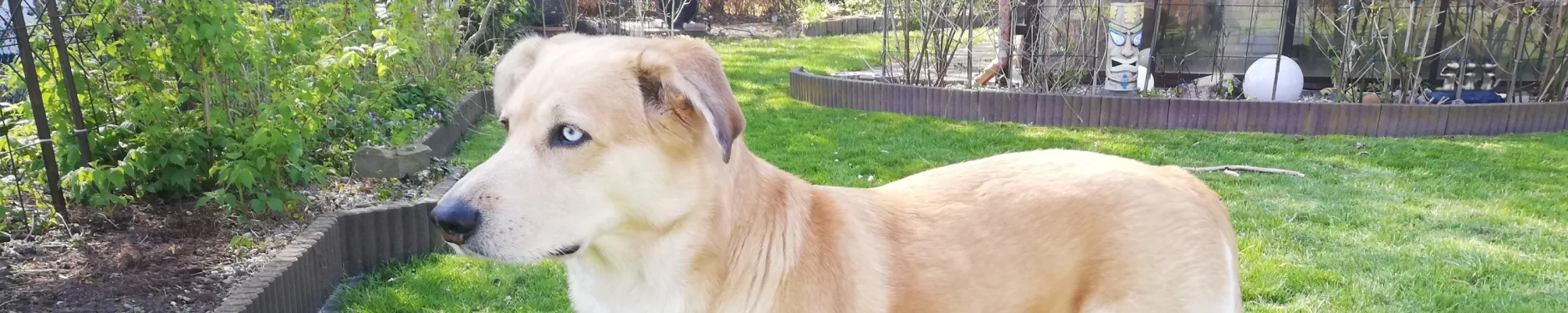 Justin Andreas Hintergrundbild