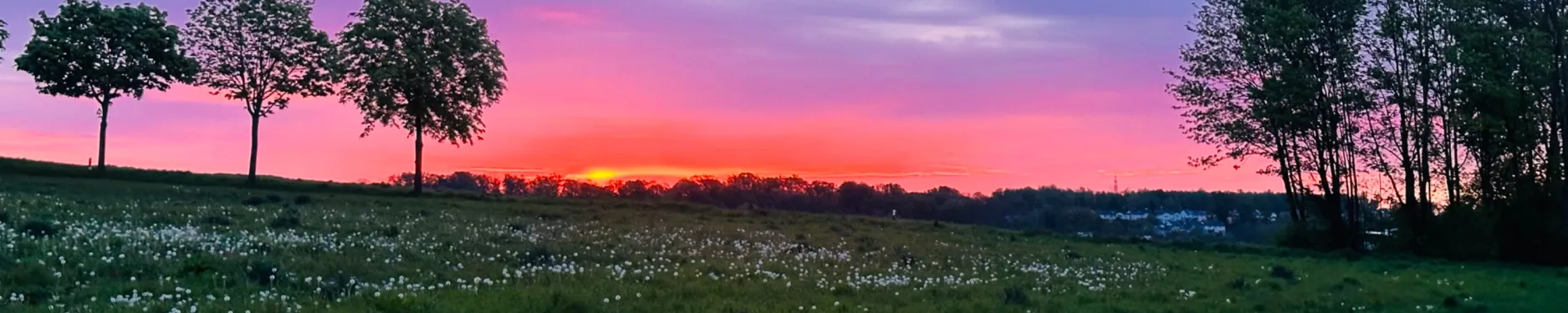 Sebastian Hintergrundbild