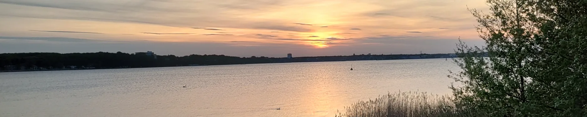 Hendrik Hintergrundbild