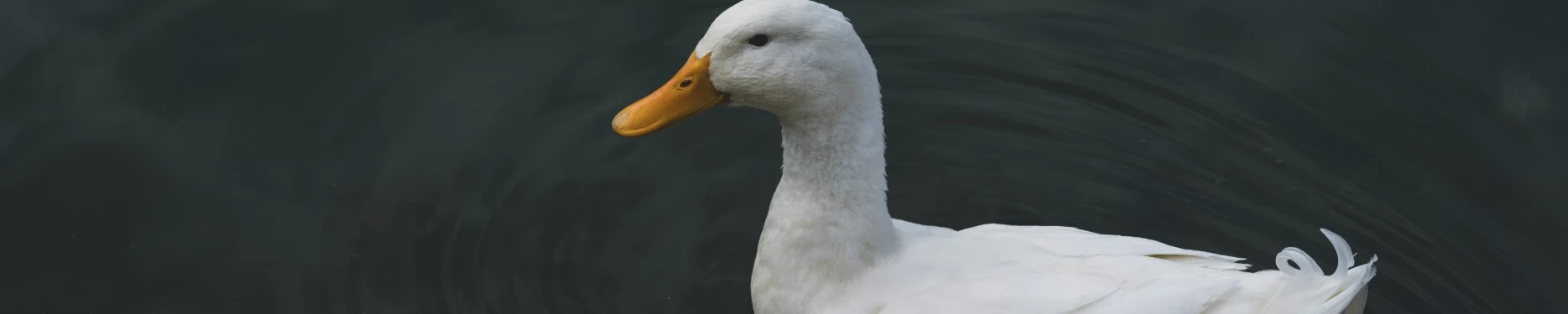 Marie-Kristin Hintergrundbild