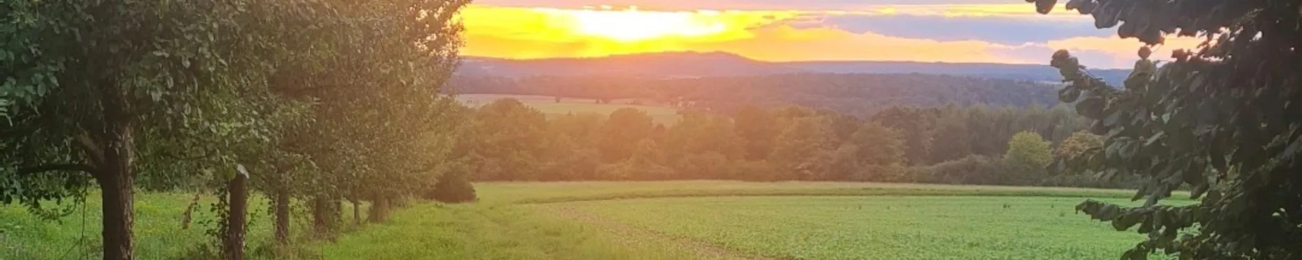 Sejla Hintergrundbild