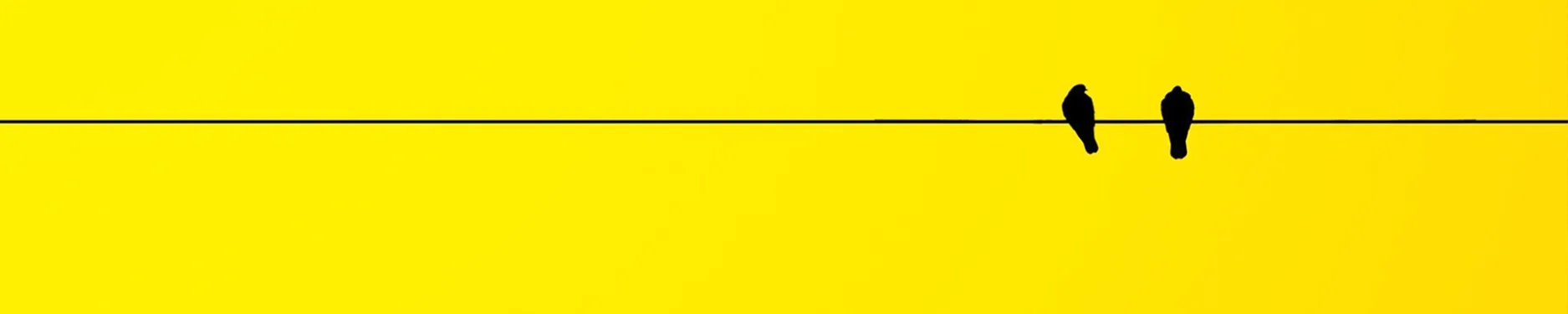 Laura Hintergrundbild