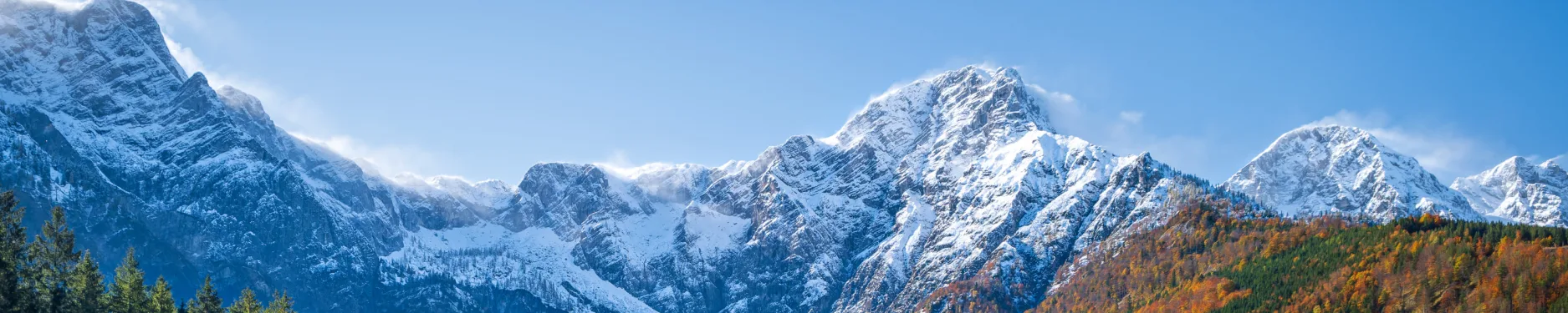 Reinhard Hintergrundbild