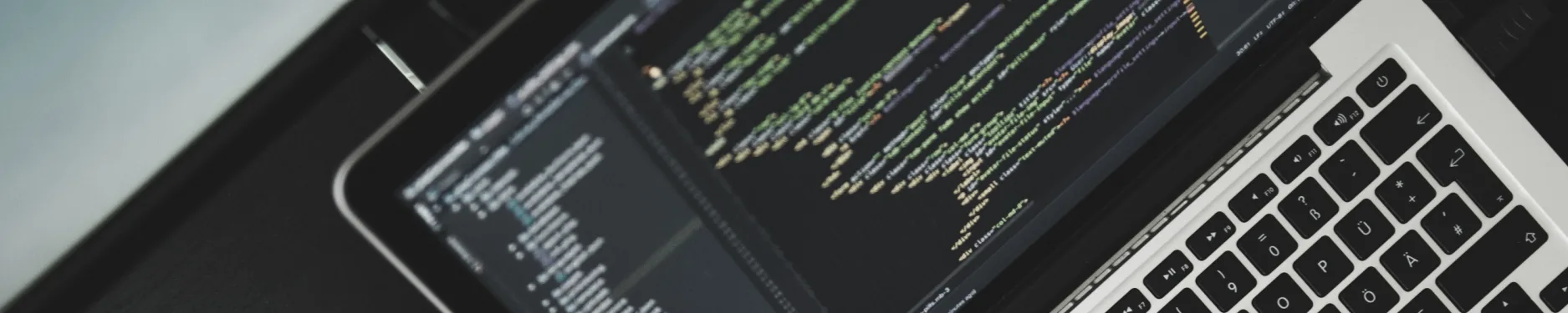 Leon Hintergrundbild