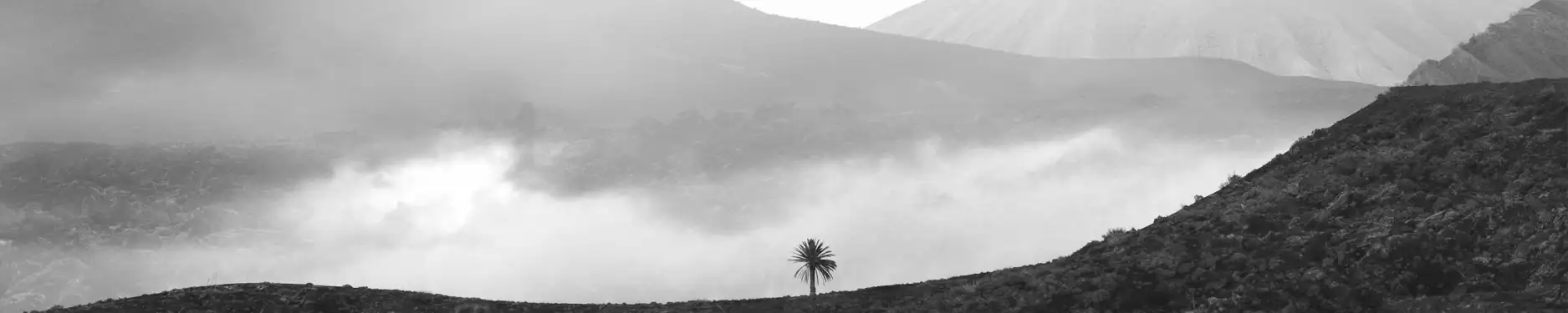 Julia Hintergrundbild