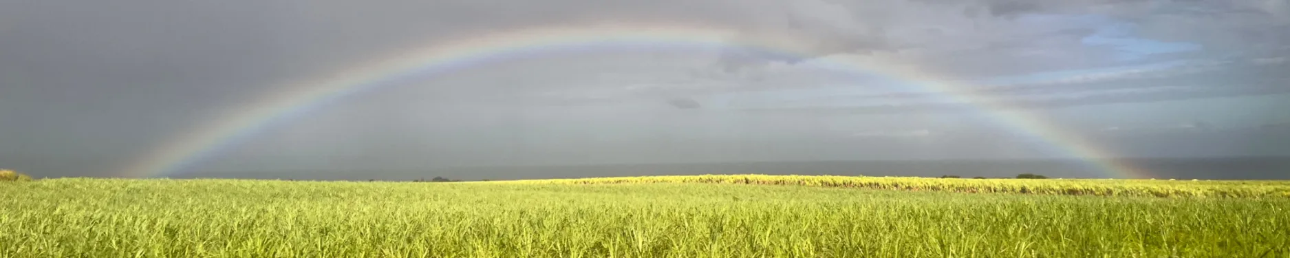 Hiwot Hintergrundbild