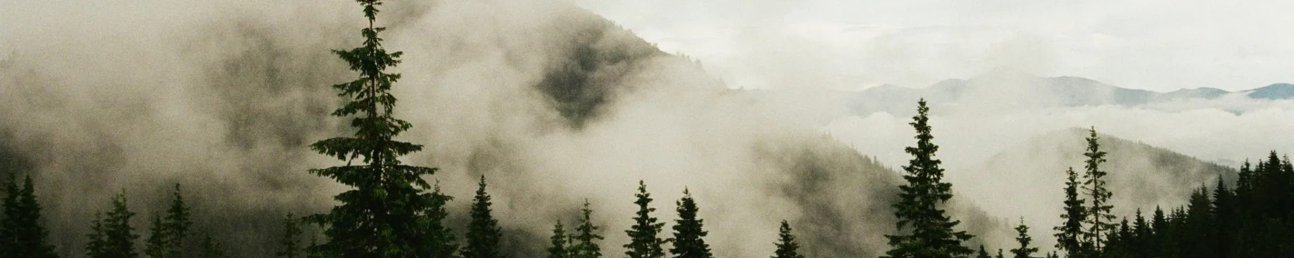 Julia Hintergrundbild