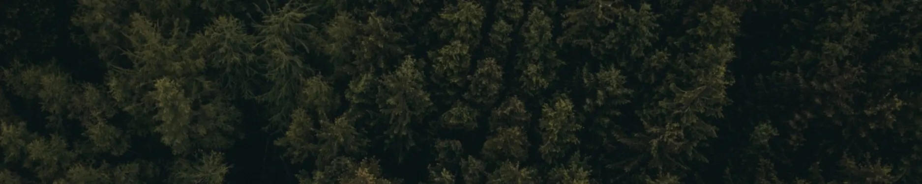 Finn Hintergrundbild