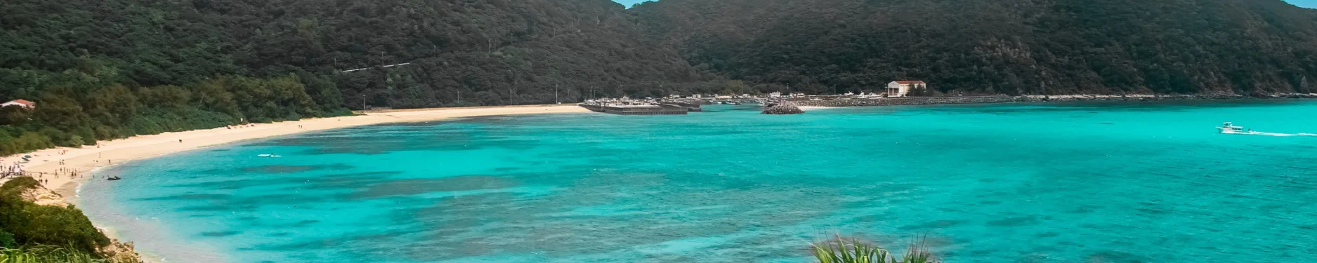 Jane Francis Hintergrundbild