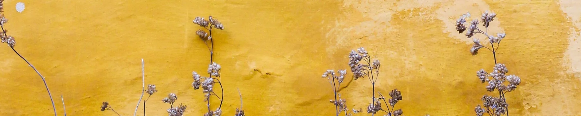 Maren Hintergrundbild