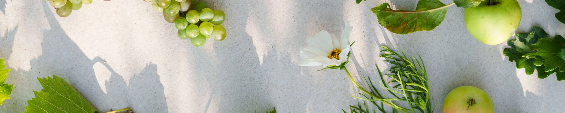 Magdalena Hintergrundbild