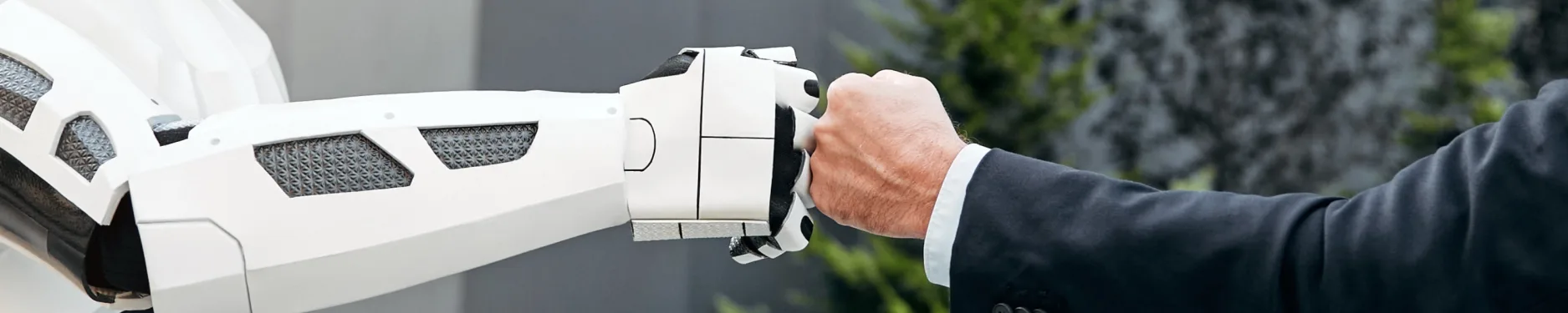 Sebastian Hintergrundbild