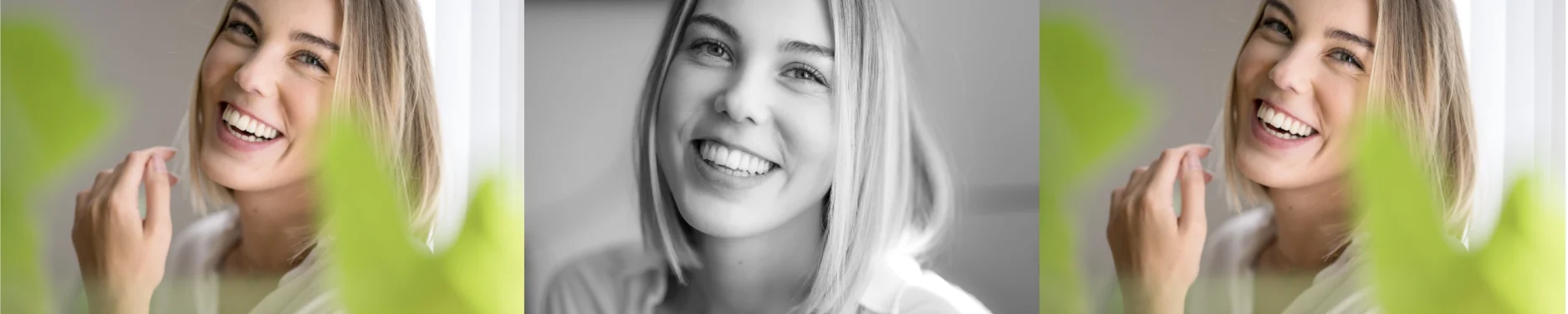 Vanessa Hintergrundbild