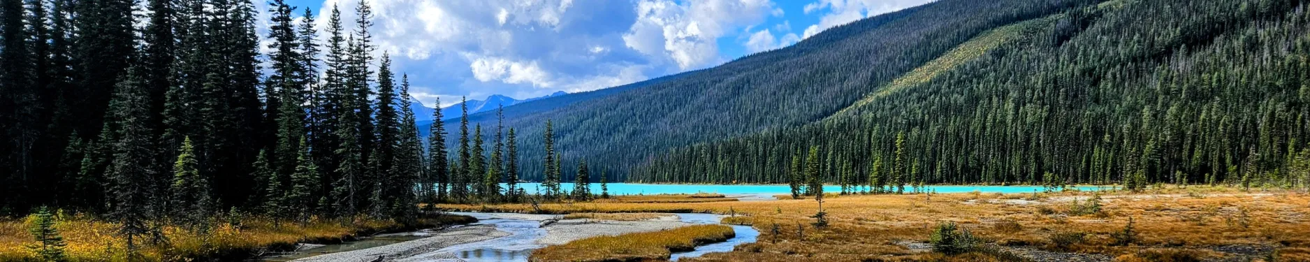 Silvana Hintergrundbild